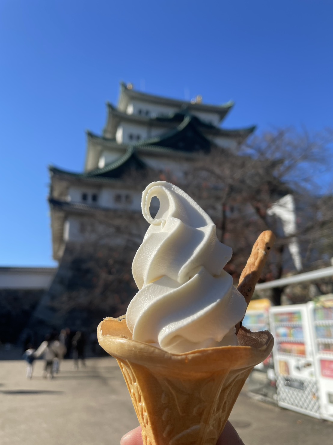 オオタニさん(。-`ω-)