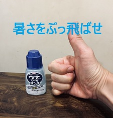 「夢見ることができれば、それは実現できる。」　byウォルト・ディズニー